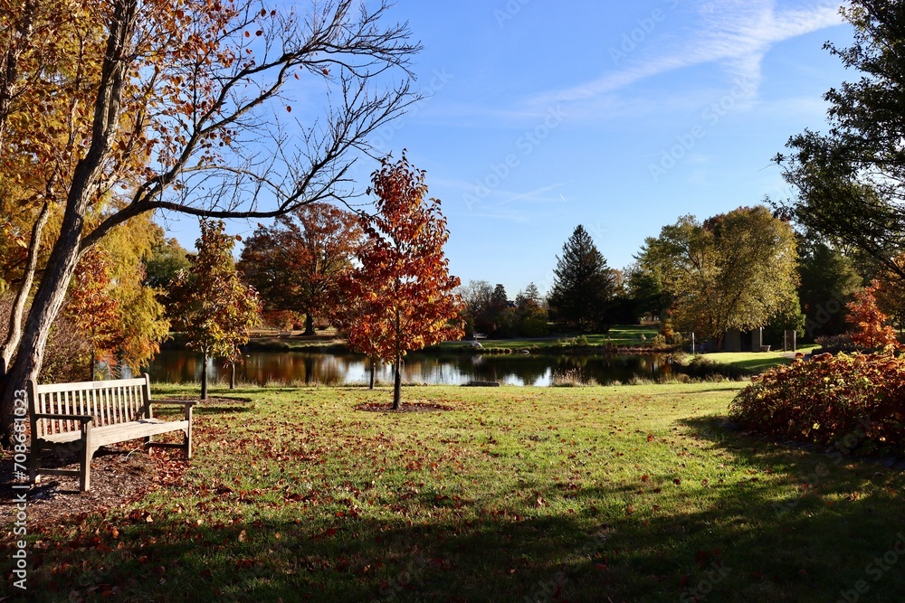 The peaceful pond in the country on a sunny day. The peaceful pond in the country on a sunny day.