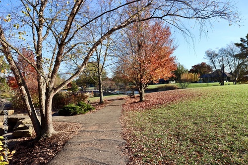 The empty walkway in the park on a sunny day