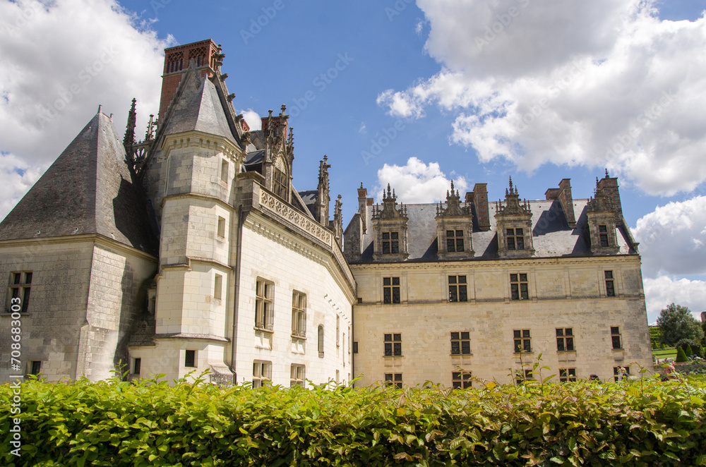 Castle in the city of Amboise France, beautiful architecture, old roofs, Loire river, green trees and colorful flowers.

