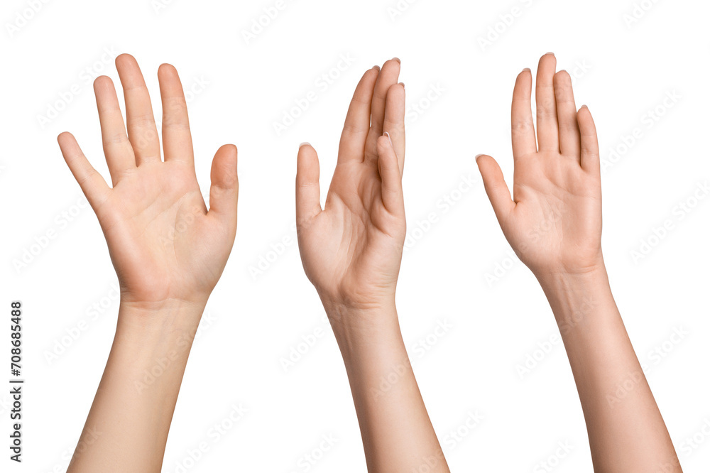 Set of female hands in different poses on a blank background Set of female hands in different poses on a blank background