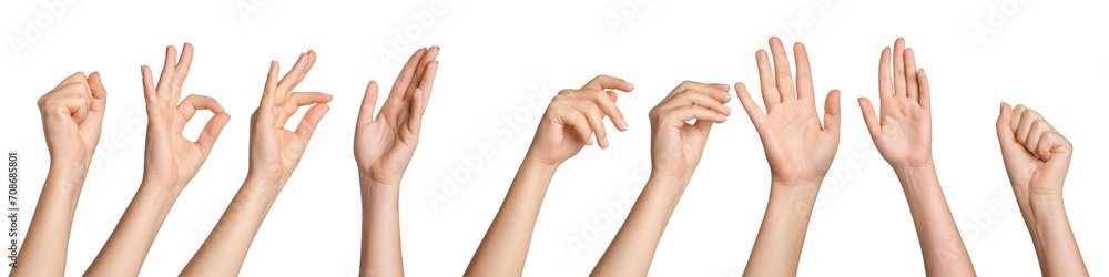 Set of female hands in different poses on a blank background Set of female hands in different poses on a blank background