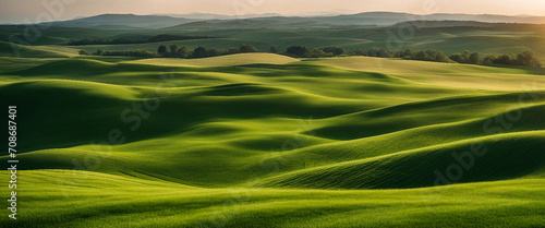 Green meadow meanders into wheat field horizon. Corn field in rural Flanders produced by AI. © Foyez Ullah