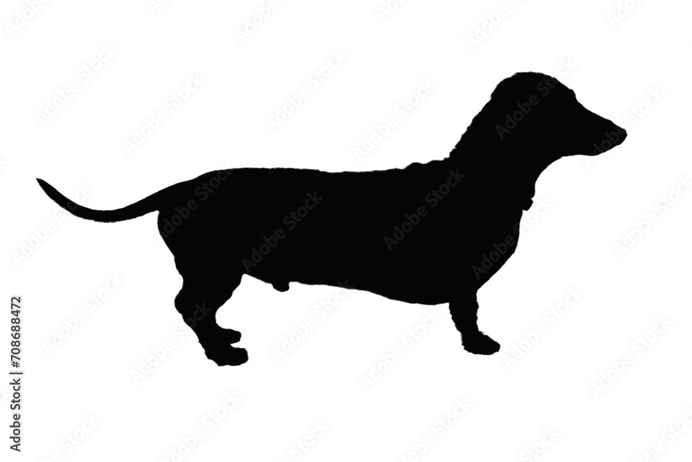 dog silhouette. PNG silhouette of dog isolated transparent