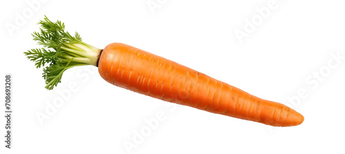 Delicious juicy carrots with leaves