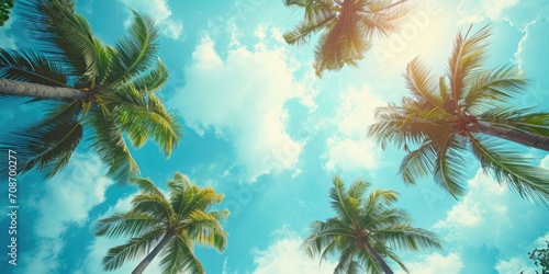 A picturesque image of a group of palm trees against a clear blue sky. Perfect for tropical themes and vacation concepts