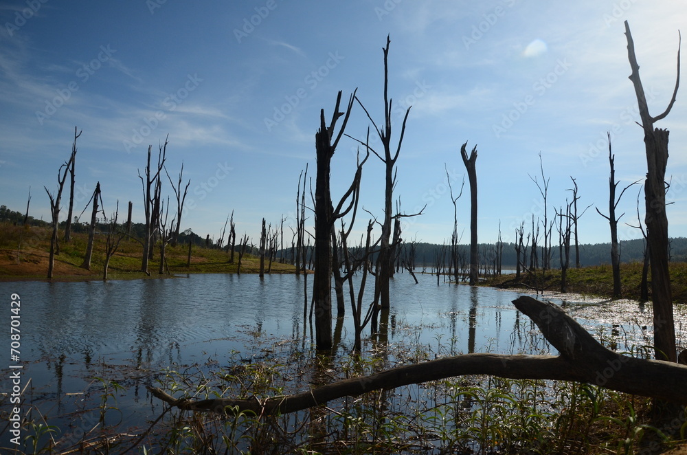 extreme drought at Lake Tinaroo, Queensland. Australia