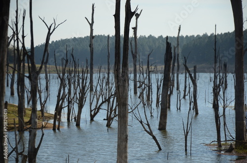 extreme drought at Lake Tinaroo, Queensland. Australia