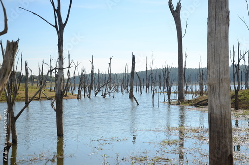 extreme drought at Lake Tinaroo, Queensland. Australia © burnstuff2003