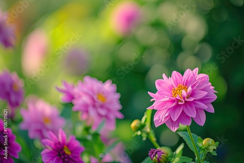 Flower garden of a pink flower with a green background © BrandwayArt