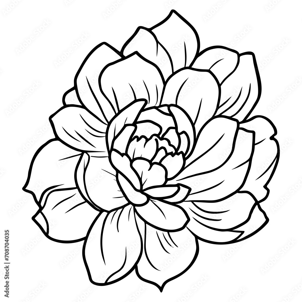 Hand drawn simple flower illustration Hand drawn simple flower illustration