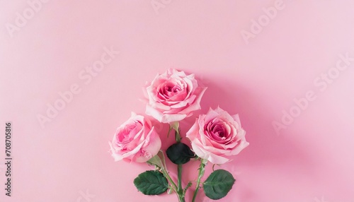 pink roses © images.AI