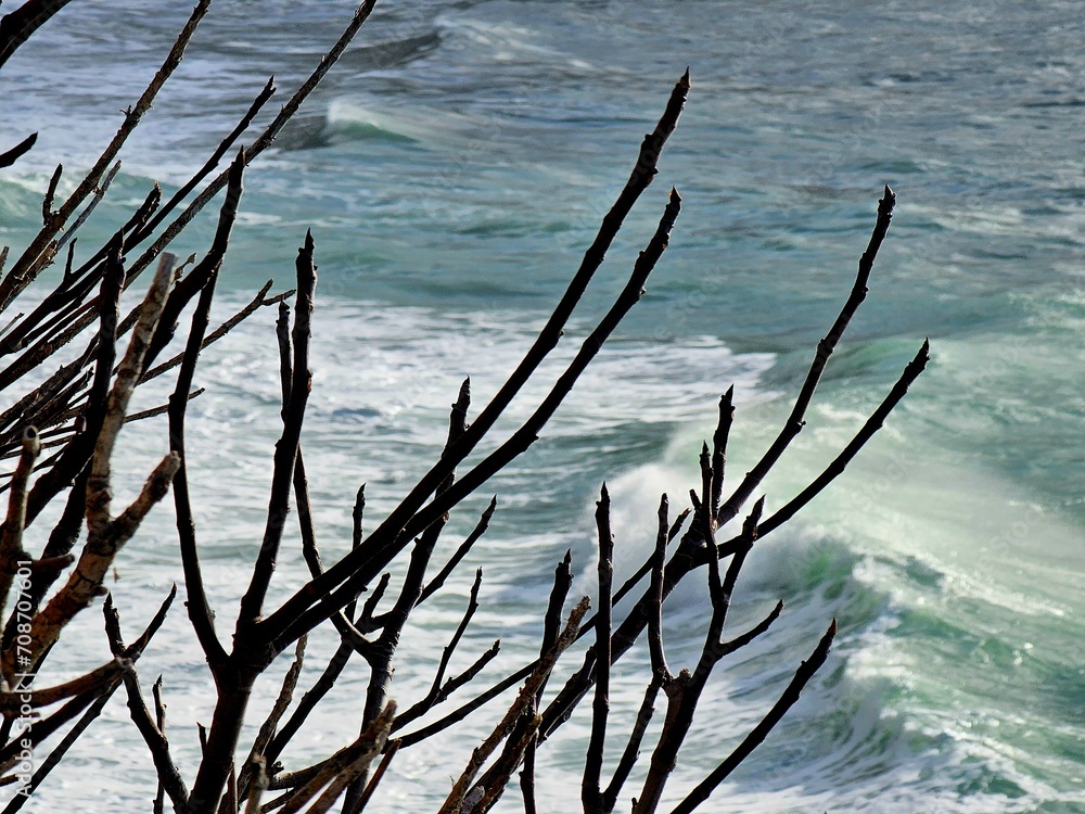 Fototapeta premium Corniglia, 5 Terre, Italy - January 05, 2024: Beautiful photography of the Cinque Terre landscape. Spectacular view of the waves with blue sky in the background in winter days. 