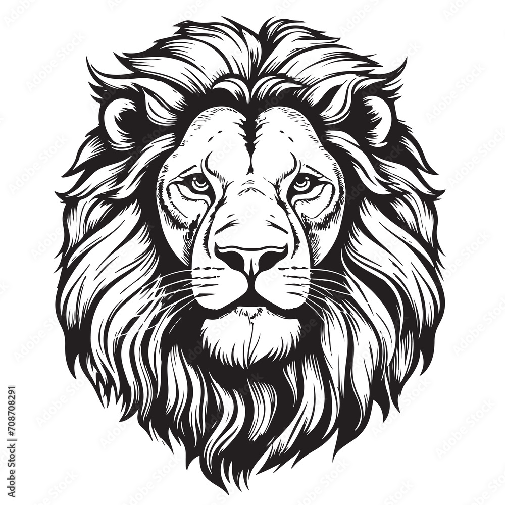 Lion portrait lion head sketch hand drawn