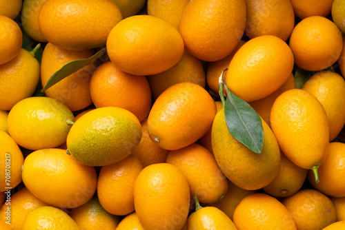 Many kumquat fruits. Kumquat fruit top view. Background from ripe kumquat.