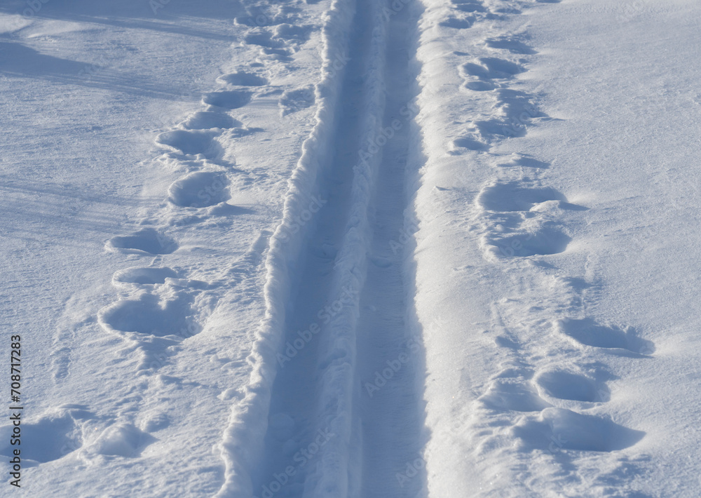 Cross country ski track with shadows and pole marks late in the day. Cross country ski track with shadows and pole marks late in the day.