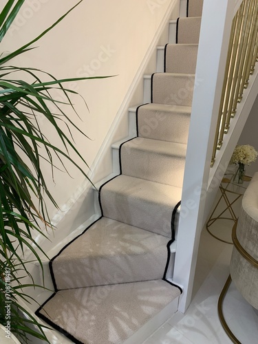 Stairs with a carpet runner