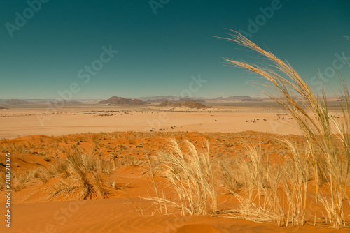 Elim Dunes view to Naukluft Mountains, Namibia photo