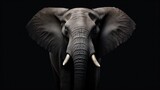  a close up of an elephant's head with tusks and tusks on it's ears and tusks, against a black background.