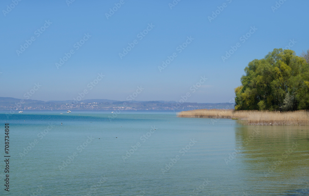 a picturesque view from flower island Mainau with lush green trees on lake Constance or lake Bodensee and the Alps in the background (Germany) a picturesque view from flower island Mainau with lush green trees on lake Constance or lake Bodensee and the Alps in the background (Germany)
