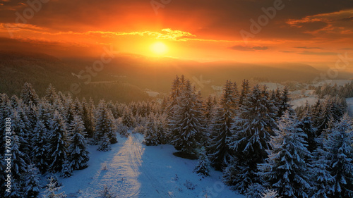 Aerial view of the forest in winter time at sunset, landscape snow covered trees nature - beautiful Europe pine forest mountain, season travel white frozen nature idyllic