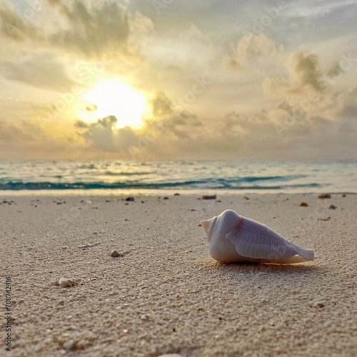Sonnenuntergang am Strand mit Muschel
