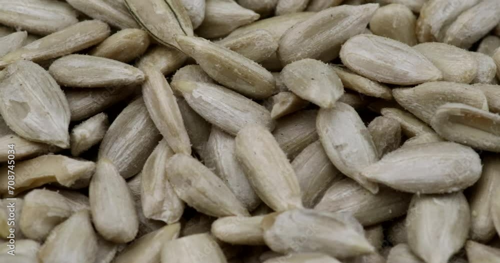 Macro video close up of sunflower seeds in rotating motion Macro video close up of sunflower seeds in rotating motion