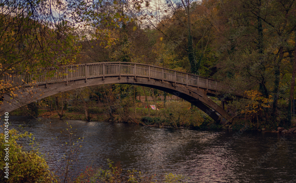 Fototapeta premium Bridge