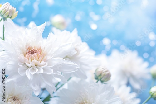 White chrysanthemum on magical bokeh background with two thirds empty space for text placement.