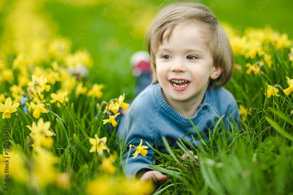 Cute toddler boy having fun between rows of beautiful yellow daffodils blossoming on spring day. Cute toddler boy having fun between rows of beautiful yellow daffodils blossoming on spring day.
