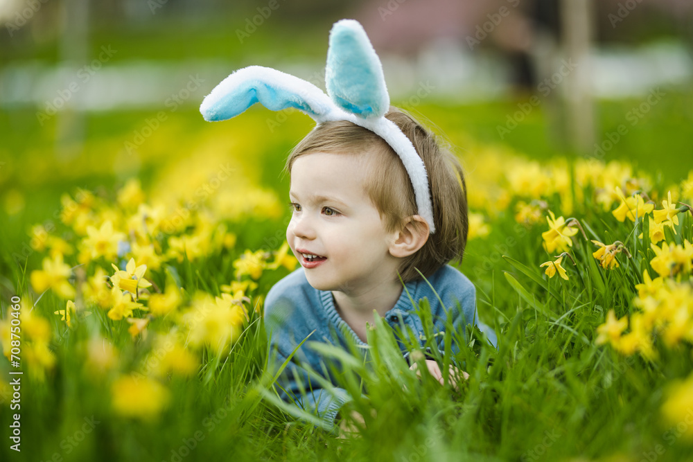 Cute toddler boy wearing bunny ears having fun between rows of yellow daffodils blossoming on spring day. Celebrating Easter outdoors. Egg hunt. Cute toddler boy wearing bunny ears having fun between rows of yellow daffodils blossoming on spring day. Celebrating Easter outdoors. Egg hunt.