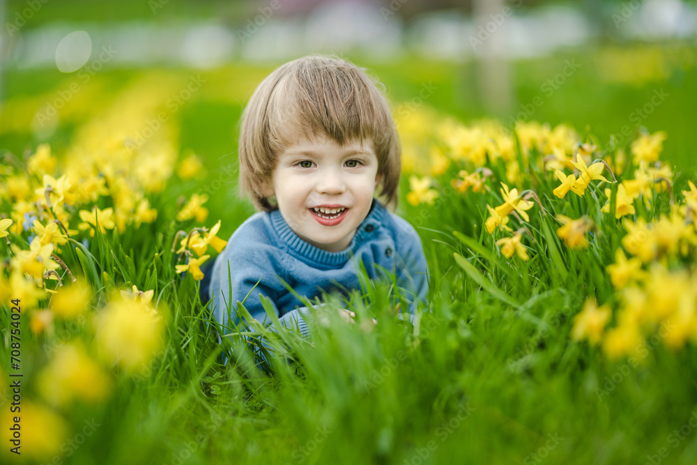 Cute toddler boy having fun between rows of beautiful yellow daffodils blossoming on spring day. Cute toddler boy having fun between rows of beautiful yellow daffodils blossoming on spring day.