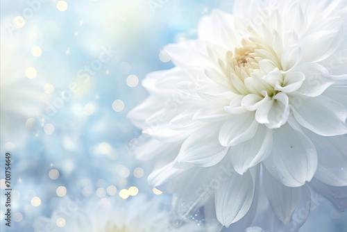 White chrysanthemum on isolated magical bokeh background with copy space for text placement