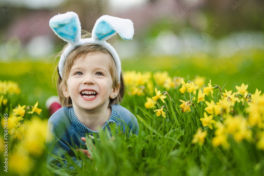 Cute toddler boy wearing bunny ears having fun between rows of yellow daffodils blossoming on spring day. Celebrating Easter outdoors. Egg hunt. Cute toddler boy wearing bunny ears having fun between rows of yellow daffodils blossoming on spring day. Celebrating Easter outdoors. Egg hunt.