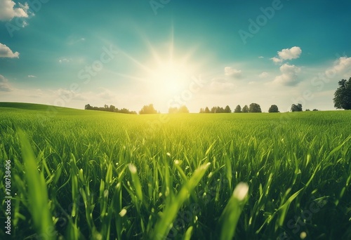Beautiful panoramic natural landscape of a green field with grass against a blue sky with sun Spring