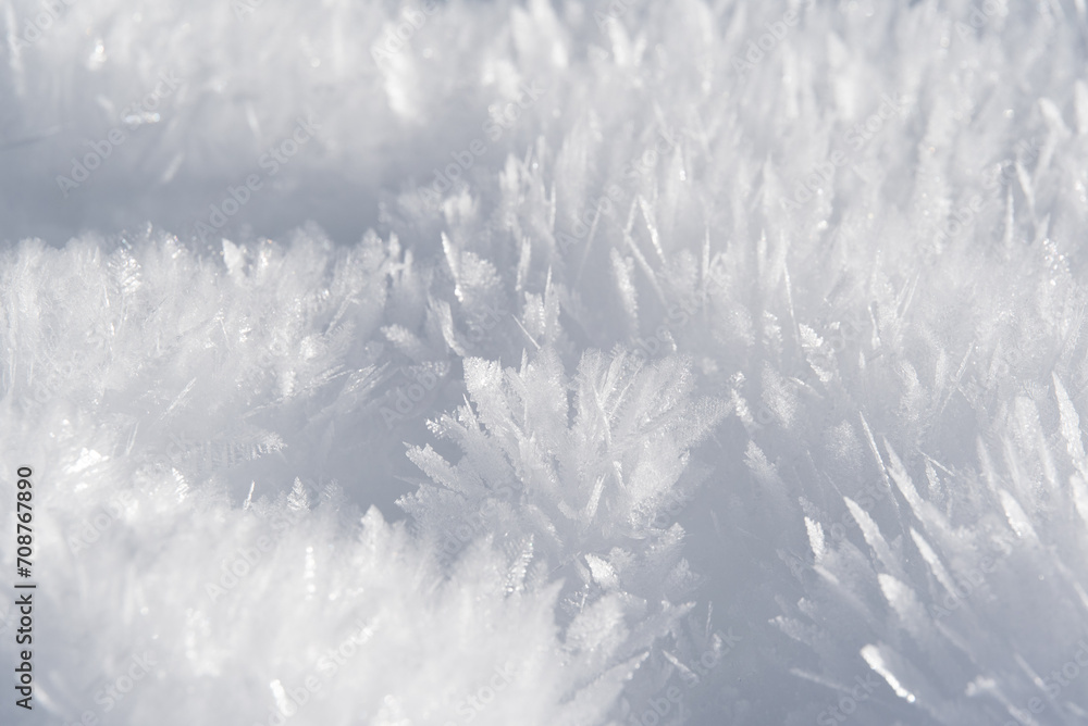 Fototapeta premium Winter Wonderland im Leutasch, Seefeld