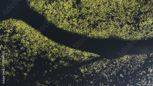 wild overgrown lake or river, aerial drone view