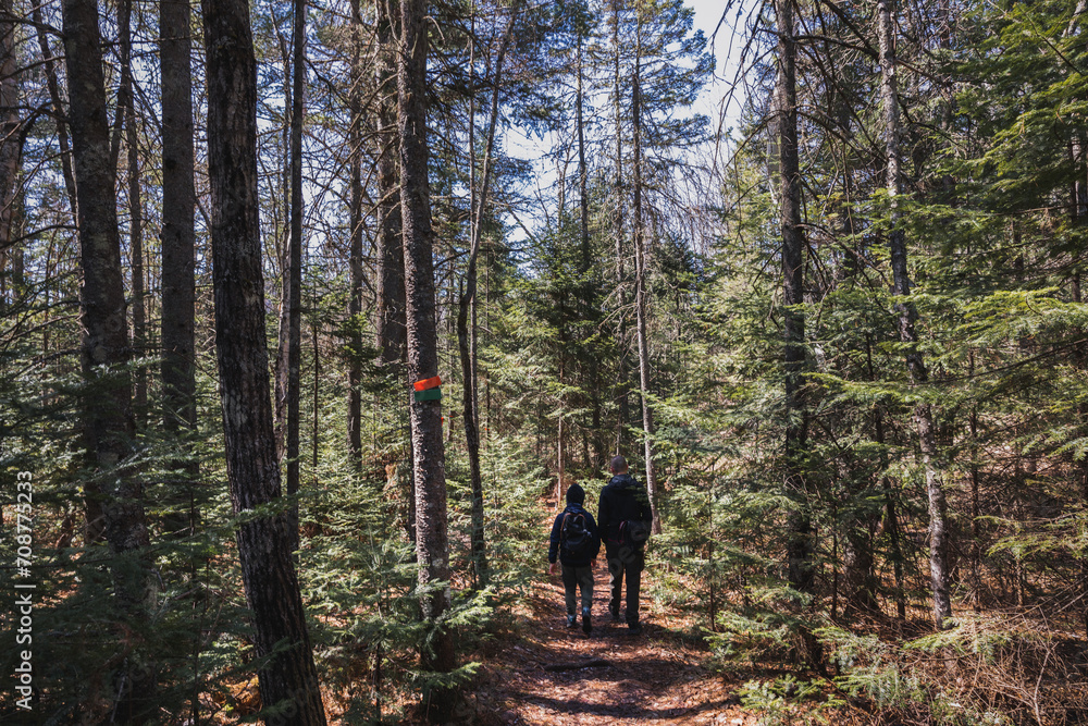 Obraz premium hiking in the woods