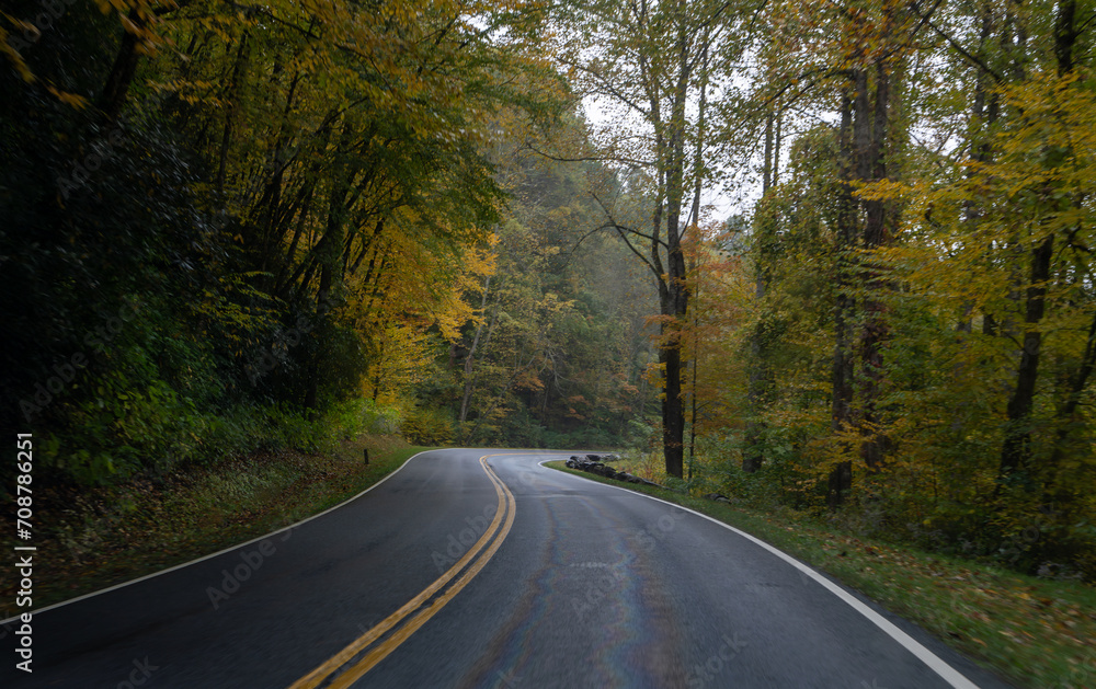 Fototapeta premium A Stunning view to the road of autumn