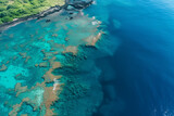 Aerial View of a Vibrant Coral Reef by the Coastline on a Sunny Day