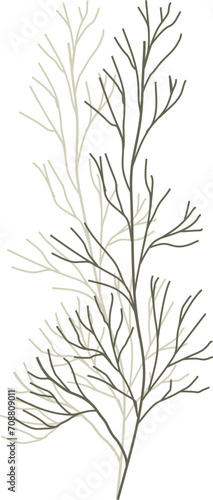 Branches illustration on transparent background. 