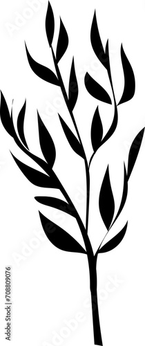 Hand drawn leaves illustration  Transparent background 