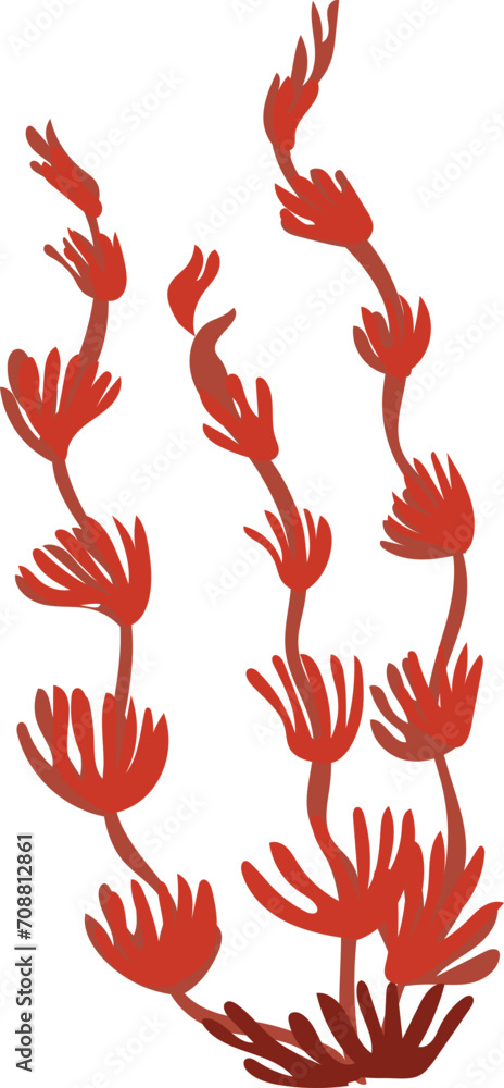 Fototapeta premium Hand drawn coral illustration on transparent background. 