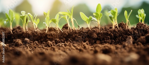 Improve soil structure, preserve ecosystem through selective focus on organic soil fertilization.