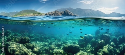 Underwater photo of a sea landscape
