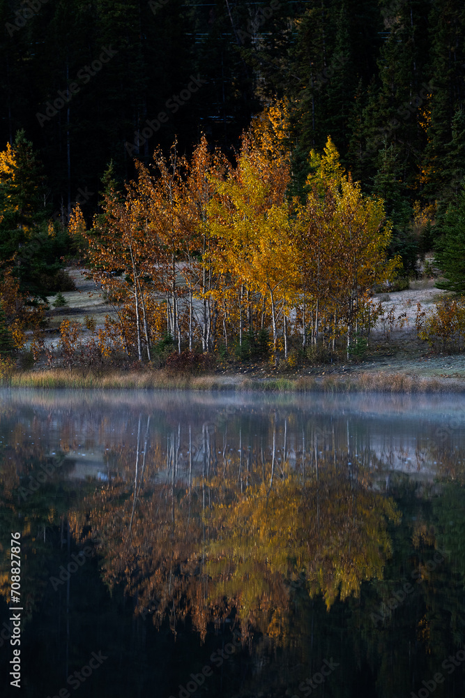 Fototapeta premium Fall in the Canadian Rockies