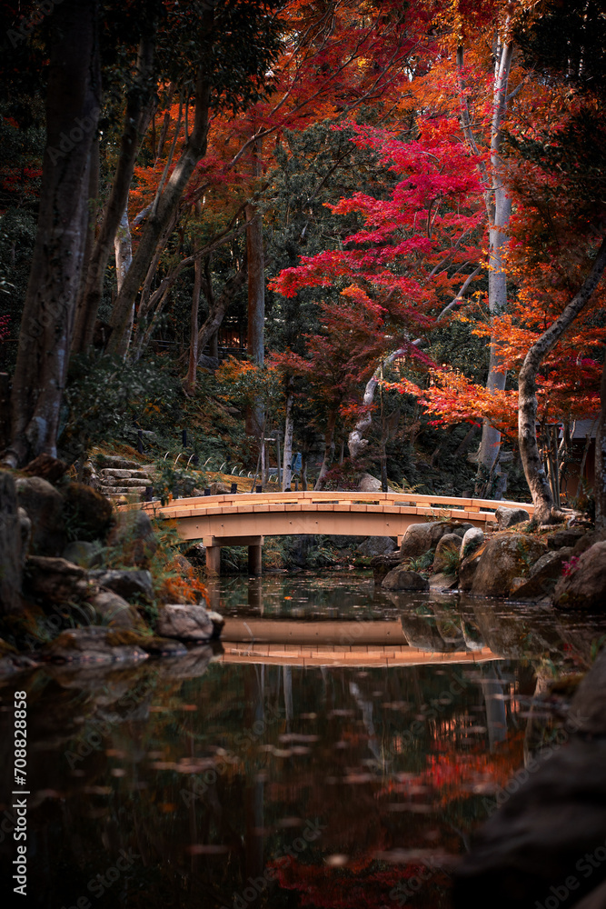 Beautiful Autumn Scenery of a Small Bridge over a River in Nara Park, Japan Beautiful Autumn Scenery of a Small Bridge over a River in Nara Park, Japan