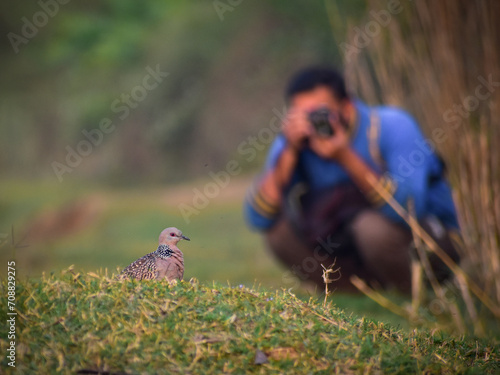 person taking a picture of a bird.