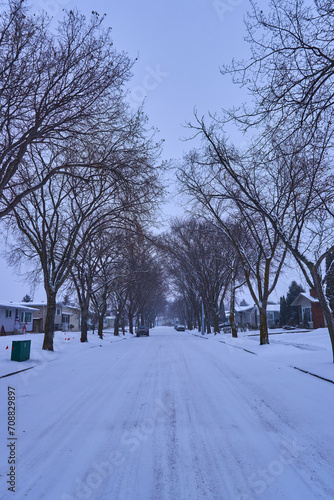 Winter Wonderland Stroll: A Snow-Covered Trail © Bell