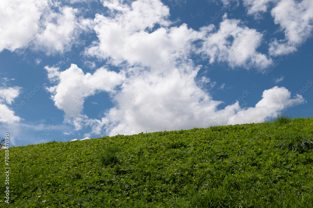 緑の丘と青い空