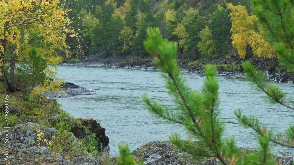 Turquoise mountain river scenic landscape. Rapid stream and slopes covered with forest. Katun valley, Altai, Siberia. Turquoise mountain river scenic landscape. Rapid stream and slopes covered with forest. Katun valley, Altai, Siberia.